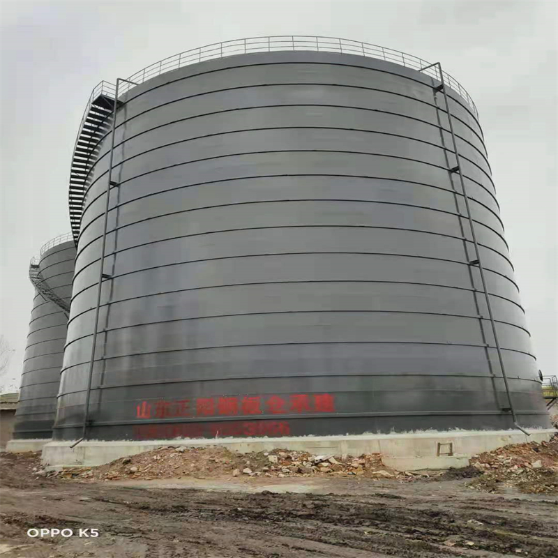 定边3万吨大型钢板库