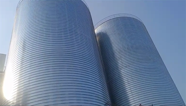 定边2座混凝土高架卷板仓